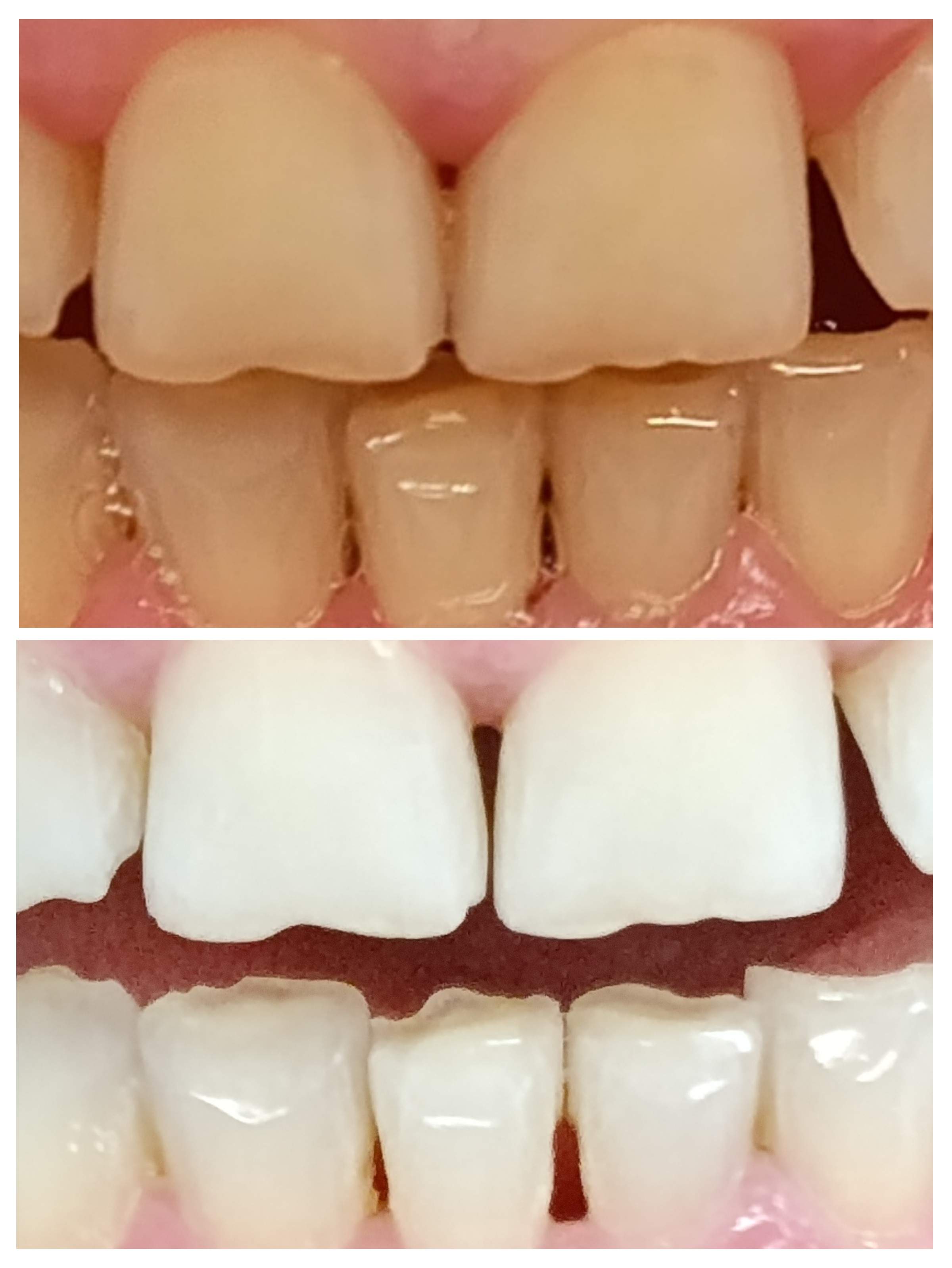 Dentistry | Dr. Mike Frenkin