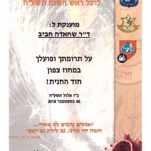 פסיכיאטריה | ד"ר חביב שחאדה