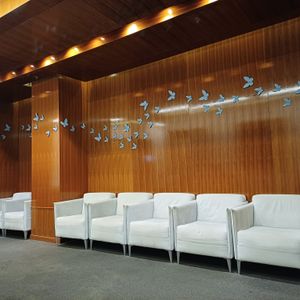 Podiatry | Irma van de Visch