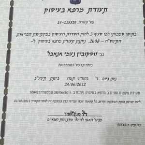ריפוי בעיסוק | נעמי עוז