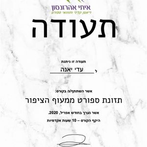 תזונת ספורט ממעוף הציפור