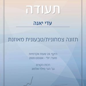 תזונה צמחונית/טבעונית מאוזנת