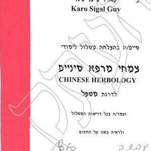 דיקור סיני (אקופונקטורה) | גיא קארו - סיגל