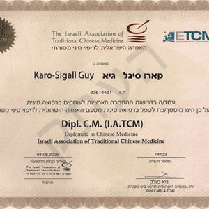 דיקור סיני (אקופונקטורה) | גיא קארו - סיגל