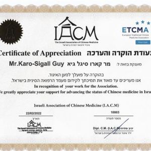 דיקור סיני (אקופונקטורה) | גיא קארו - סיגל