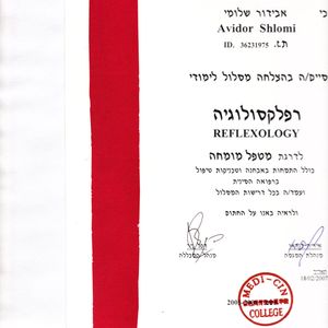 רפואה סינית | שלומי אבידור